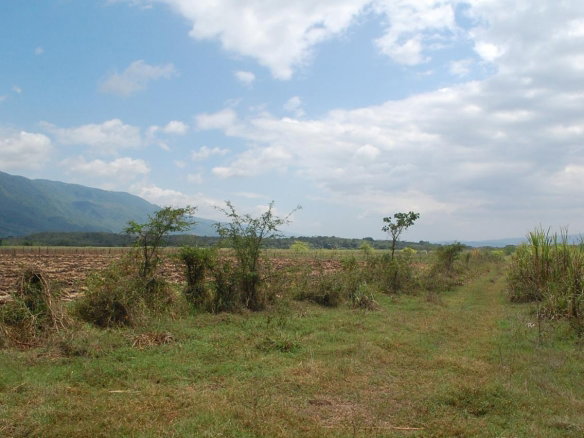 First image of 10 Bogue, Saint Elizabeth in Elim, St. Elizabeth, Jamaica - property is For Sale