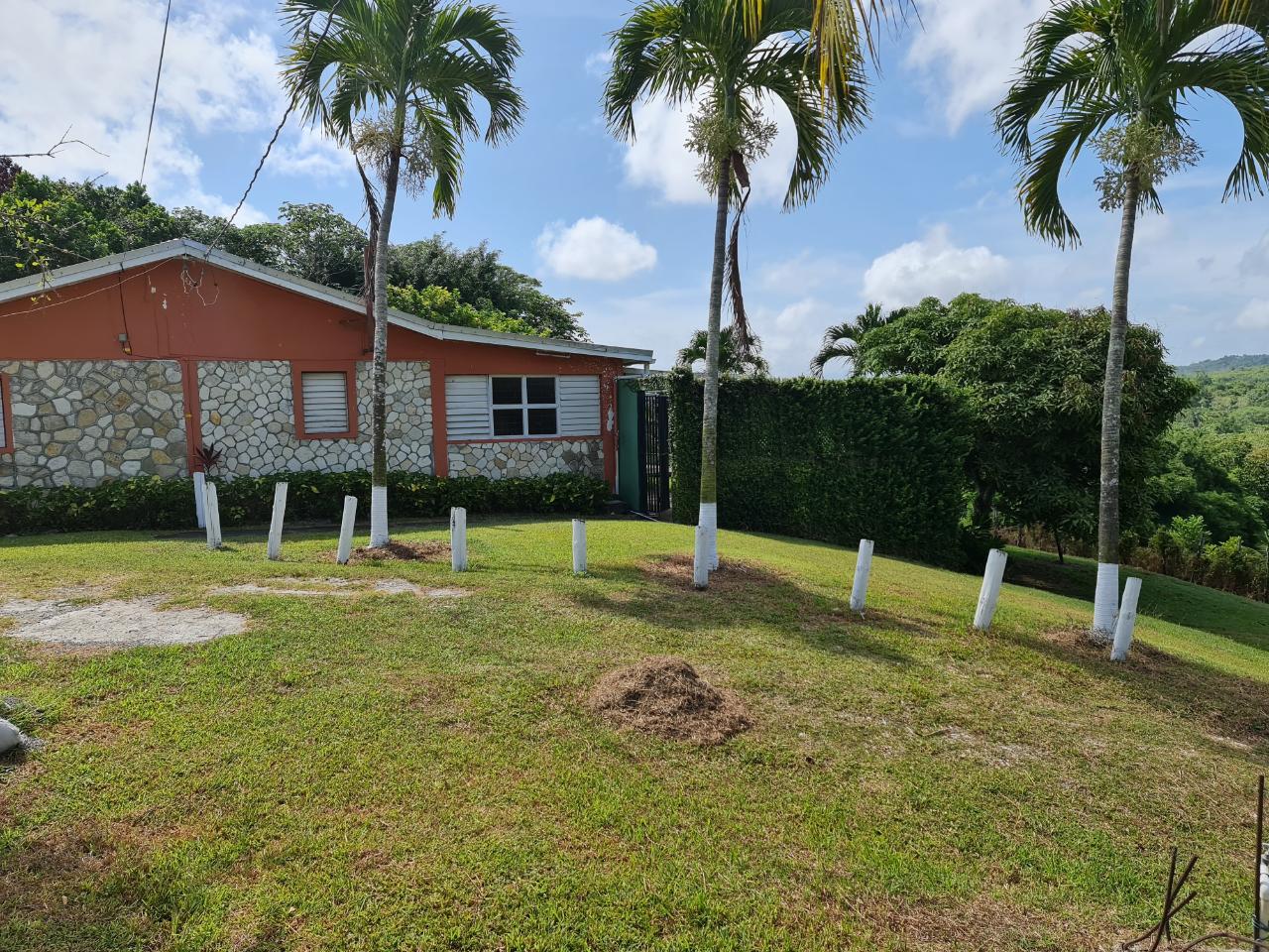 Fourth image of Hampstead in Hampstead, St. Mary, Jamaica - property is For Sale