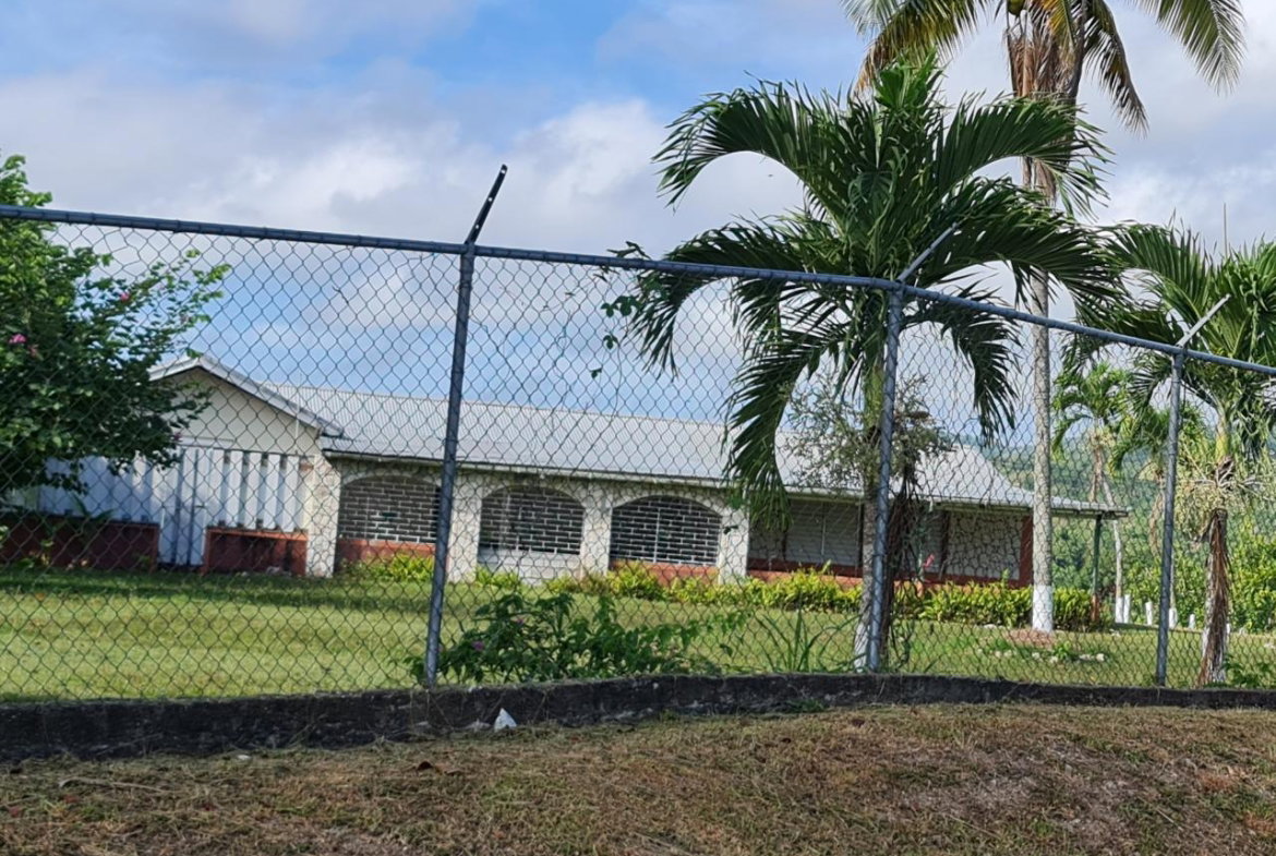 Sixth image of Hampstead in Hampstead, St. Mary, Jamaica - property is For Sale