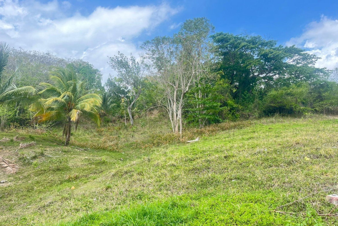 Third image of Lots 1-3 Tavanore in Rose Hill, Clarendon, Jamaica - property is For Sale