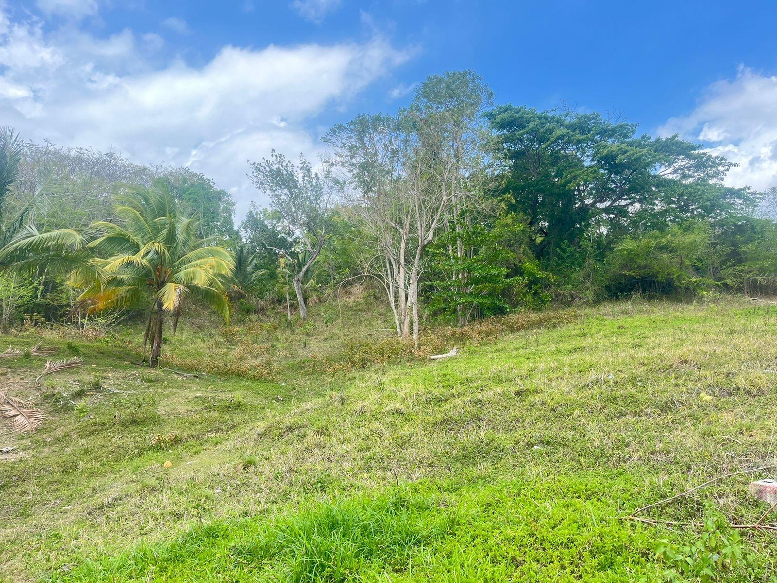 Third image of Lots 1-3 Tavanore in Rose Hill, Clarendon, Jamaica - property is For Sale