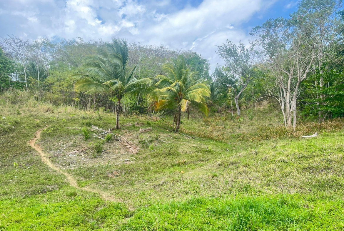 Fourth image of Lots 1-3 Tavanore in Rose Hill, Clarendon, Jamaica - property is For Sale