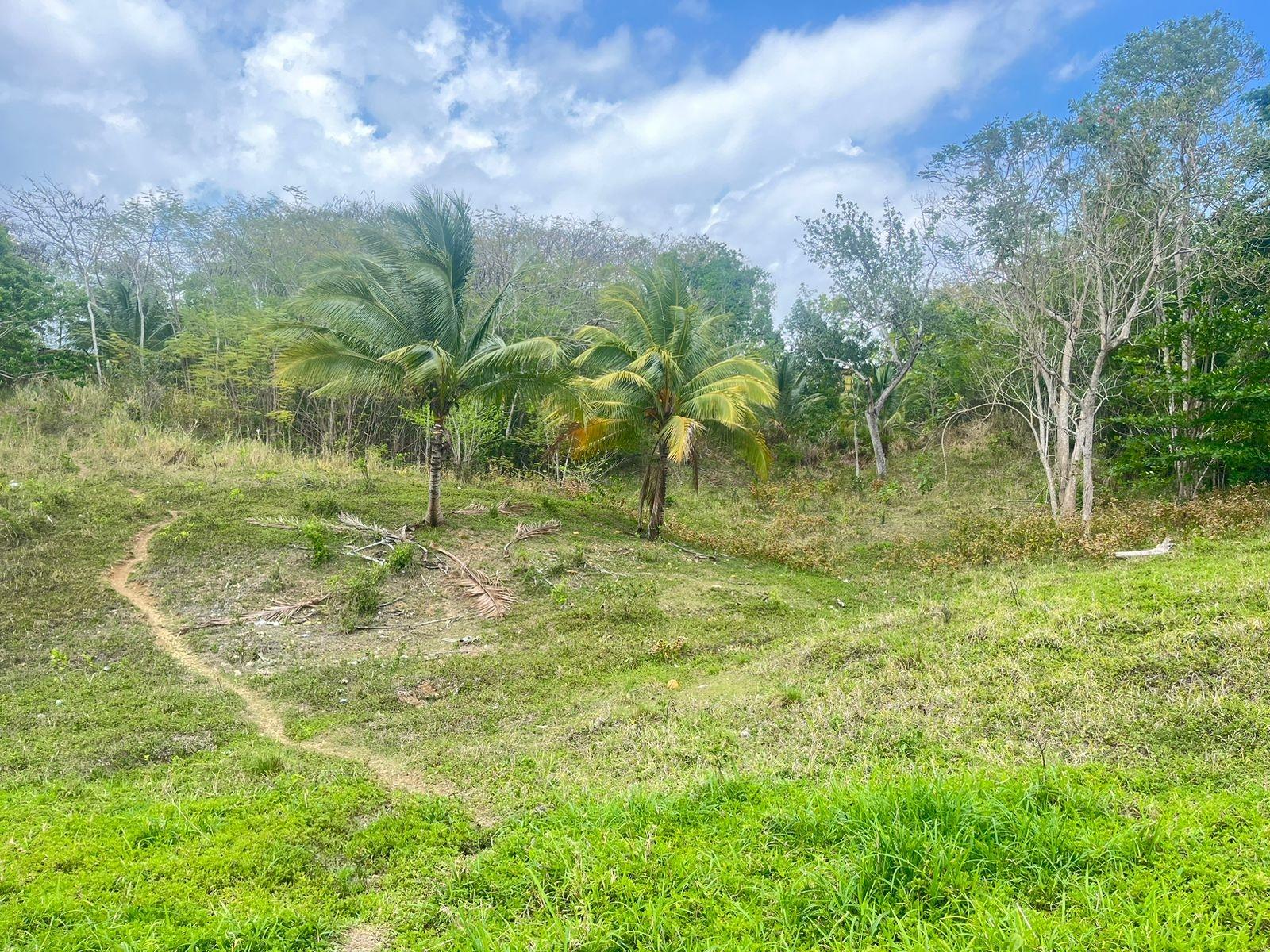 Fourth image of Lots 1-3 Tavanore in Rose Hill, Clarendon, Jamaica - property is For Sale