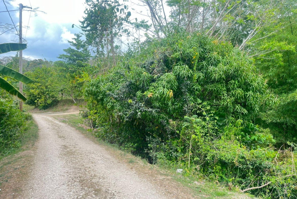 Fifth image of Lots 1-3 Tavanore in Rose Hill, Clarendon, Jamaica - property is For Sale
