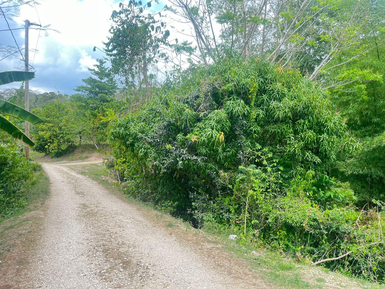 Fifth image of Lots 1-3 Tavanore in Rose Hill, Clarendon, Jamaica - property is For Sale