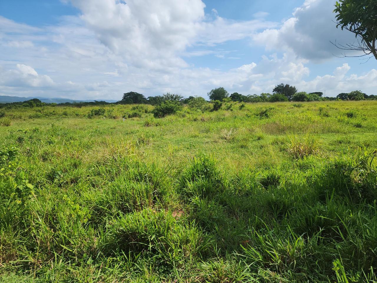 Second image of Georges Pen in Four Paths, Clarendon, Jamaica - property is For Sale