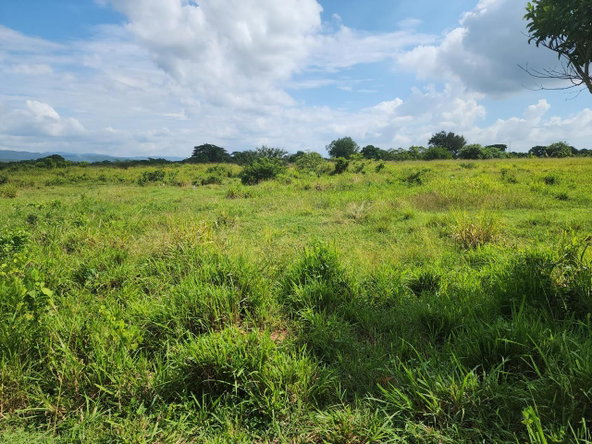 Second image of Georges Pen in Four Paths, Clarendon, Jamaica - property is For Sale