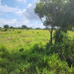 First image of Georges Pen in Four Paths, Clarendon, Jamaica - property is For Sale