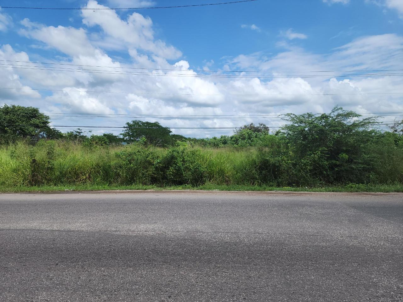 Sixth image of Georges Pen in Four Paths, Clarendon, Jamaica - property is For Sale