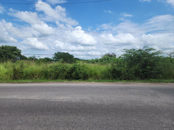 Sixth image of Georges Pen in Four Paths, Clarendon, Jamaica - property is For Sale