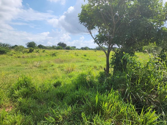 First image of Georges Pen in Four Paths, Clarendon, Jamaica - property is For Sale