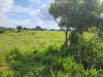 First image of Georges Pen in Four Paths, Clarendon, Jamaica - property is For Sale