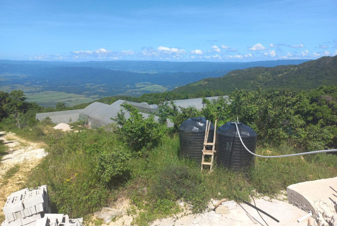 Fifteenth image of Amby, Maidstone, Manchest in Maidstone, Manchester, Jamaica - property is For Sale