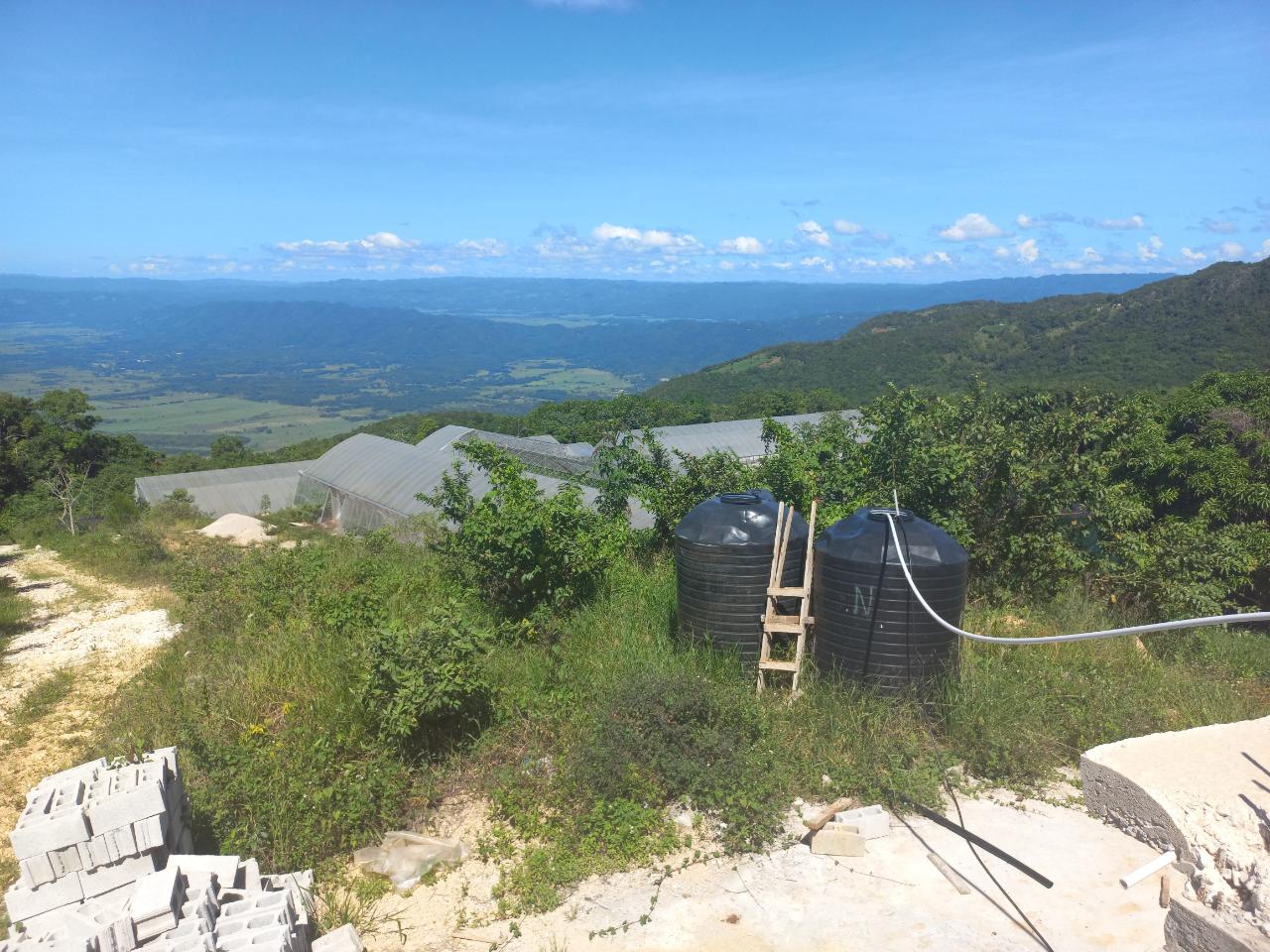 Fifteenth image of Amby, Maidstone, Manchest in Maidstone, Manchester, Jamaica - property is For Sale