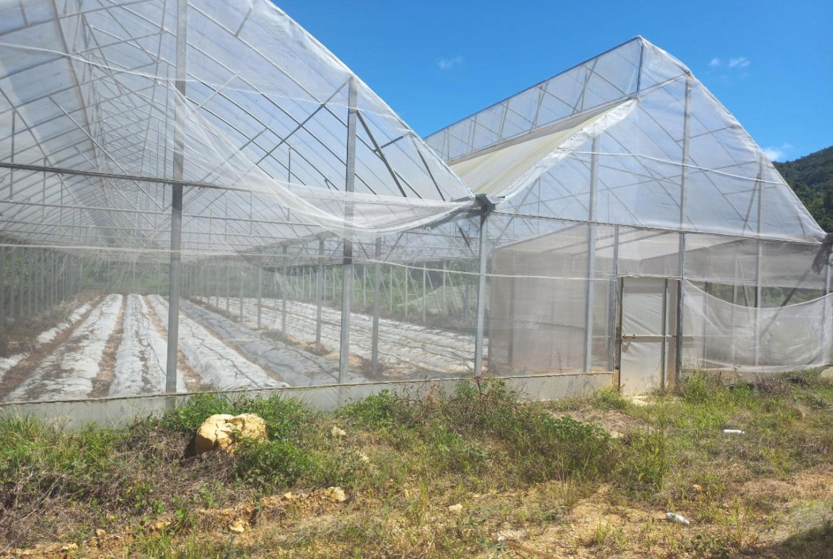 Fifth image of Amby, Maidstone, Manchest in Maidstone, Manchester, Jamaica - property is For Sale