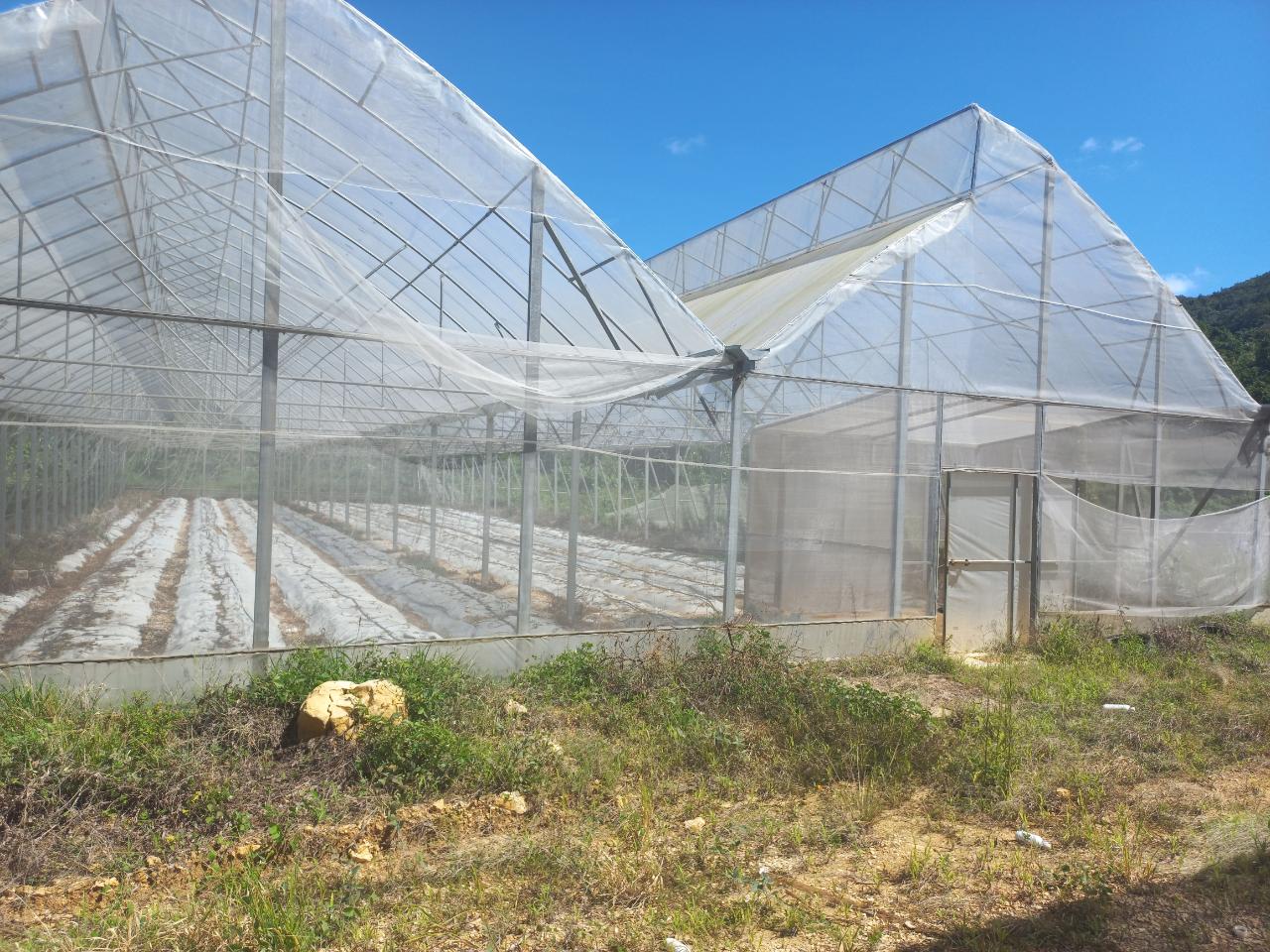Fifth image of Amby, Maidstone, Manchest in Maidstone, Manchester, Jamaica - property is For Sale