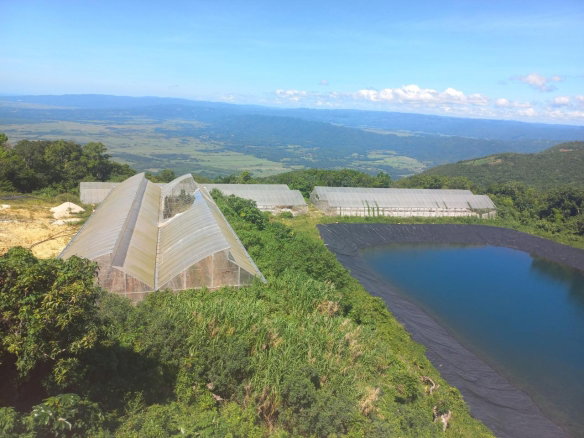 First image of Amby, Maidstone, Manchest in Maidstone, Manchester, Jamaica - property is For Sale