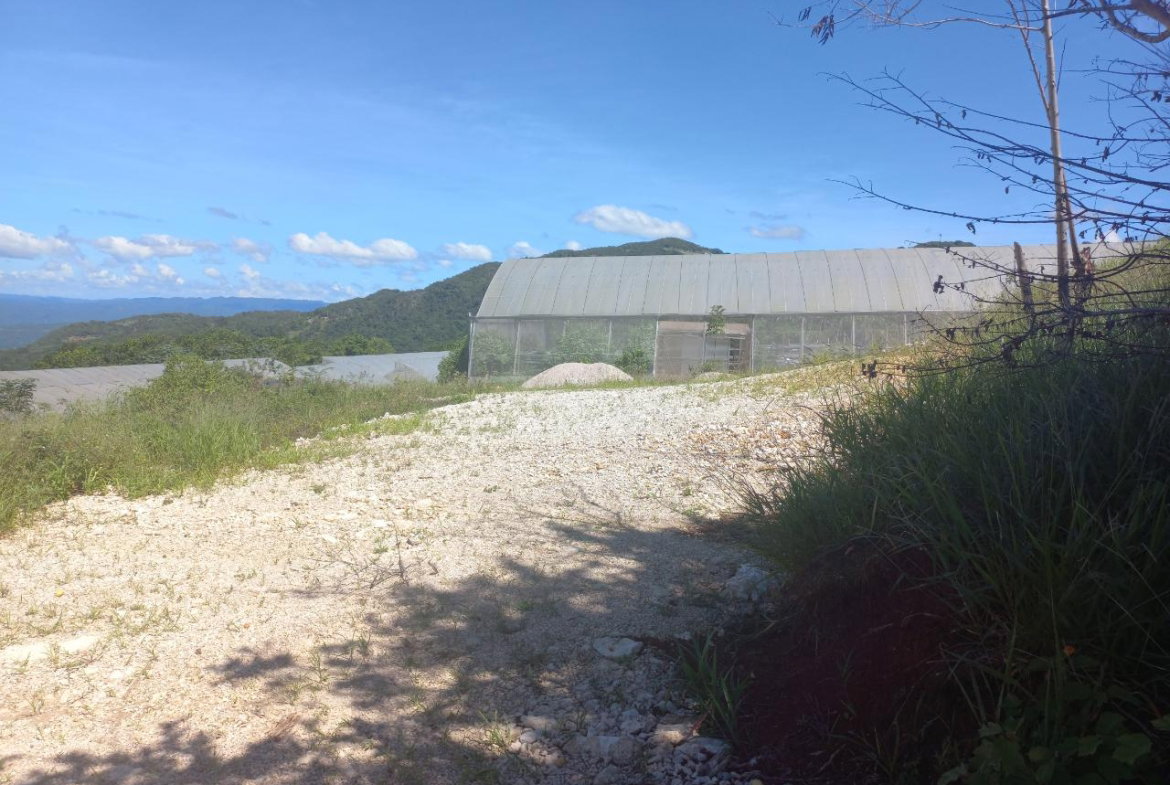 Seventh image of Amby, Maidstone, Manchest in Maidstone, Manchester, Jamaica - property is For Sale