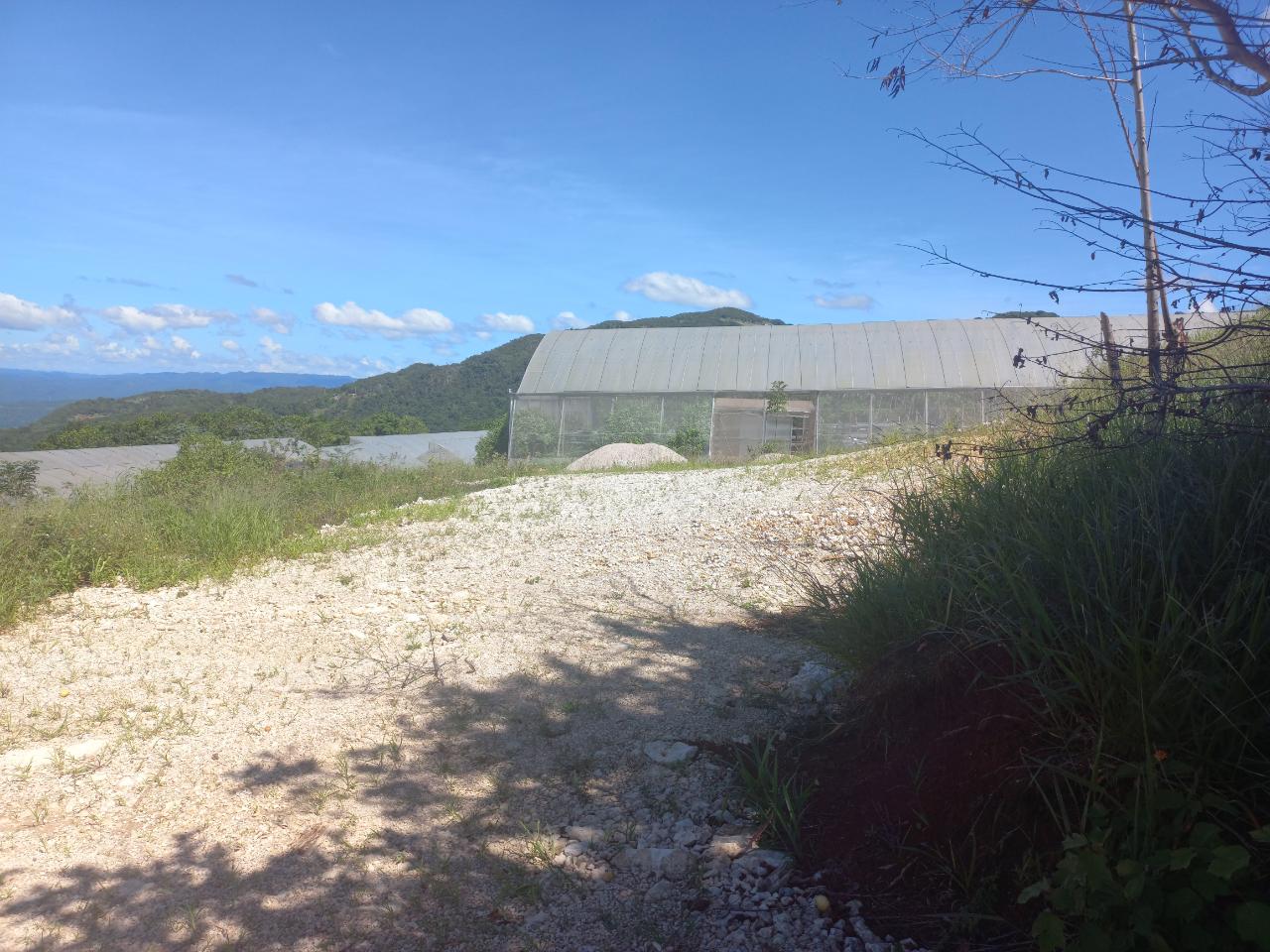 Seventh image of Amby, Maidstone, Manchest in Maidstone, Manchester, Jamaica - property is For Sale