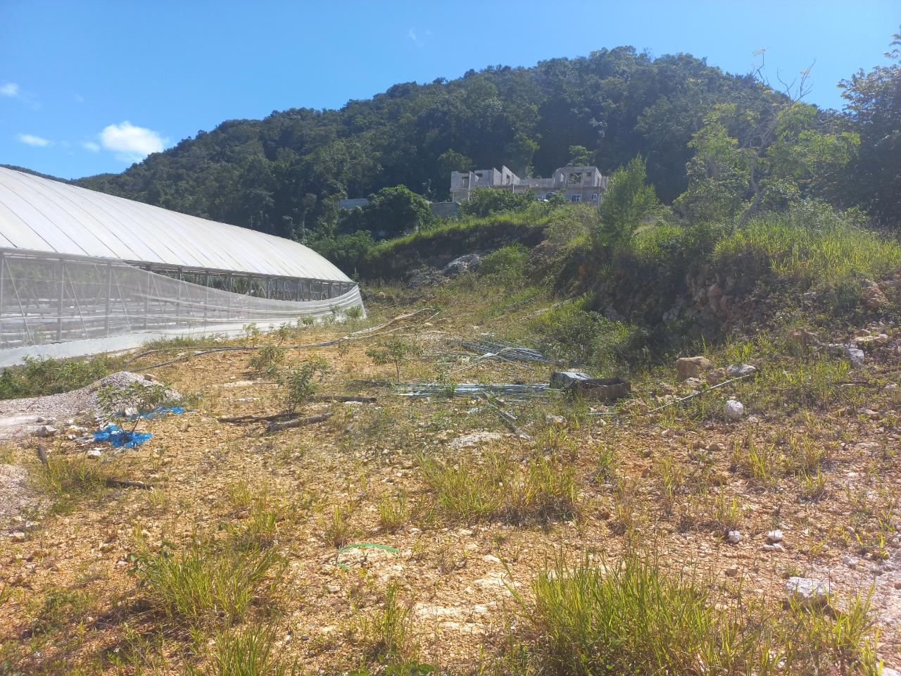 Eighth image of Amby, Maidstone, Manchest in Maidstone, Manchester, Jamaica - property is For Sale