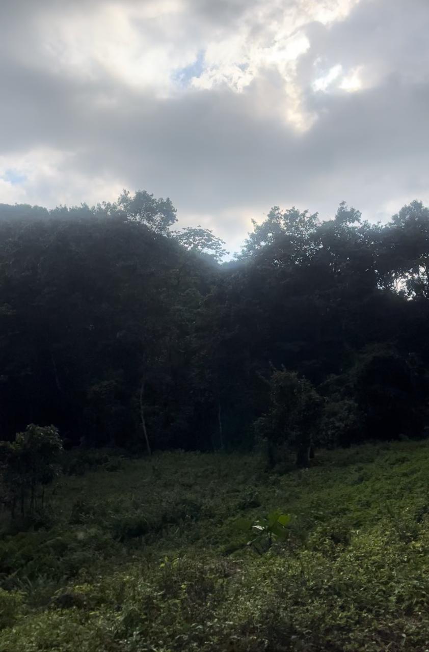 Fifth image of Land Part of Rock Hall, s in Rock Hall, St. Andrew, Jamaica - property is For Sale