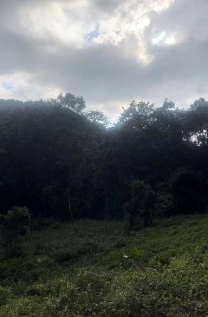Fifth image of Land Part of Rock Hall, s in Rock Hall, St. Andrew, Jamaica - property is For Sale