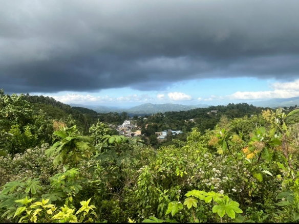 First image of Land Part of Rock Hall, s in Rock Hall, St. Andrew, Jamaica - property is For Sale