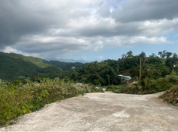 Ninth image of Land Part of Rock Hall, s in Rock Hall, St. Andrew, Jamaica - property is For Sale