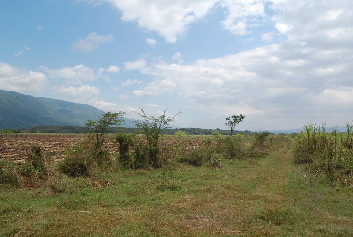 Second image of 4 Bogue, Saint Elizabeth in Elim, St. Elizabeth, Jamaica - property is For Sale