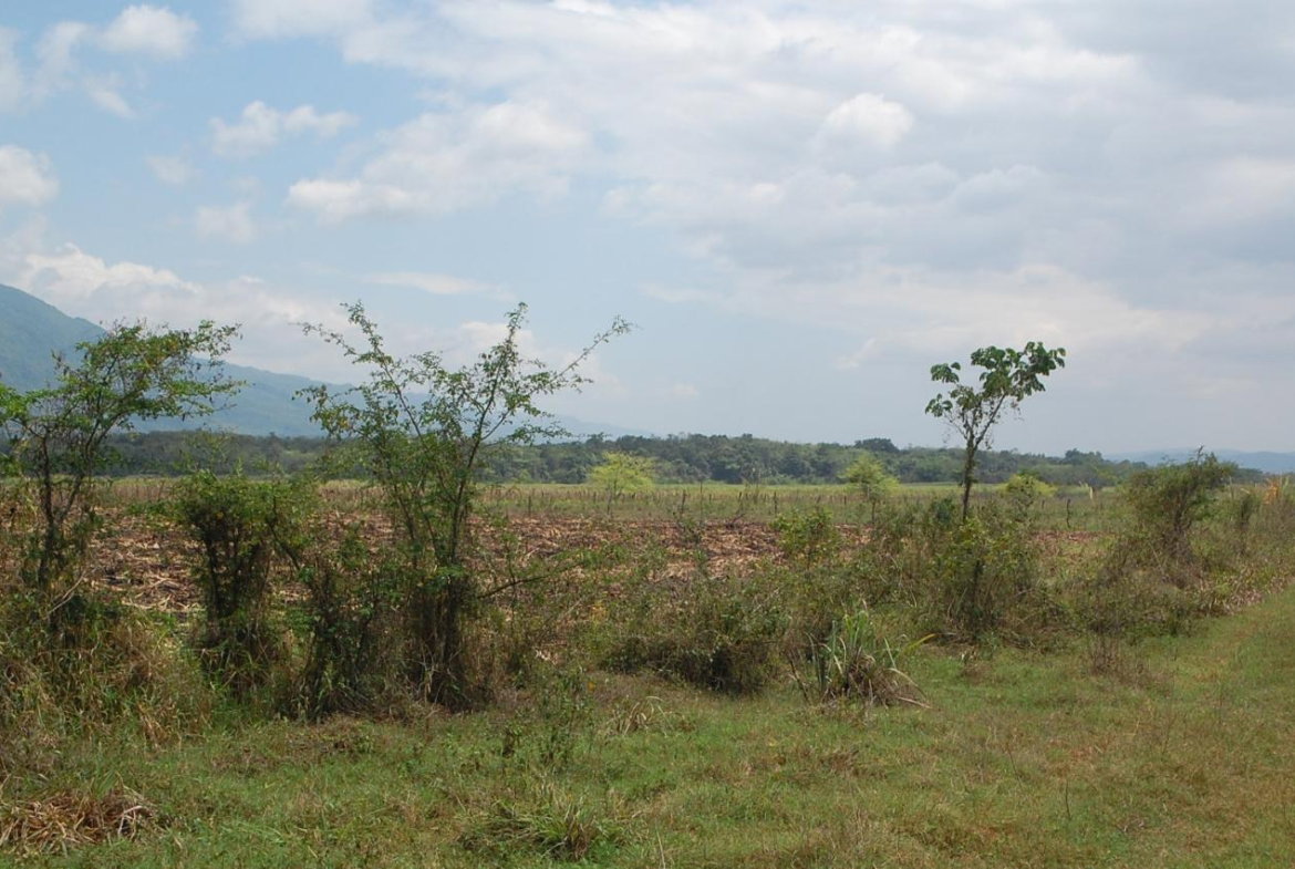 First image of 4 Bogue, Saint Elizabeth in Elim, St. Elizabeth, Jamaica - property is For Sale