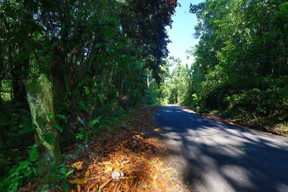 Second image of 1 Bromley ,nonsuch in Nonsuch, Portland, Jamaica - property is For Sale