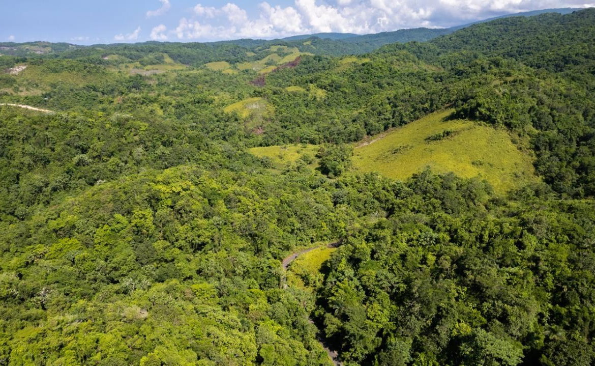 Sixteenth image of 1 Bromley ,nonsuch in Nonsuch, Portland, Jamaica - property is For Sale