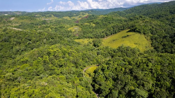 Sixteenth image of 1 Bromley ,nonsuch in Nonsuch, Portland, Jamaica - property is For Sale