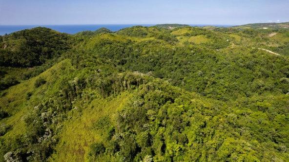 Seventeenth image of 1 Bromley ,nonsuch in Nonsuch, Portland, Jamaica - property is For Sale