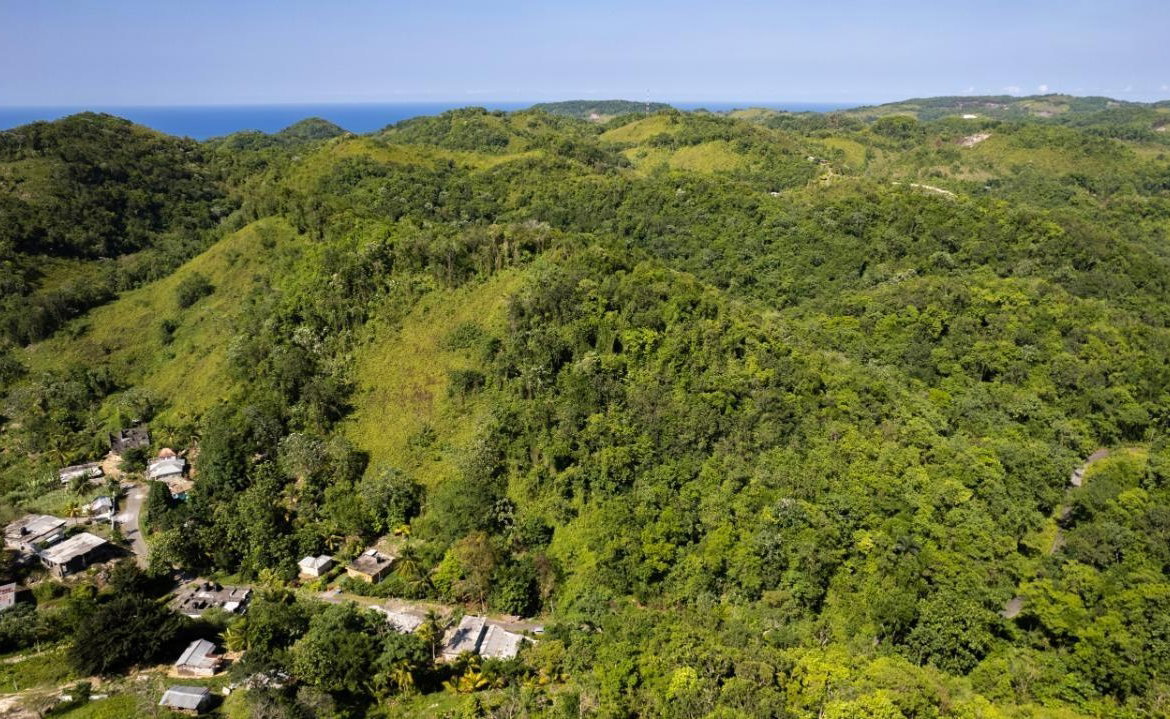 Eighteenth image of 1 Bromley ,nonsuch in Nonsuch, Portland, Jamaica - property is For Sale