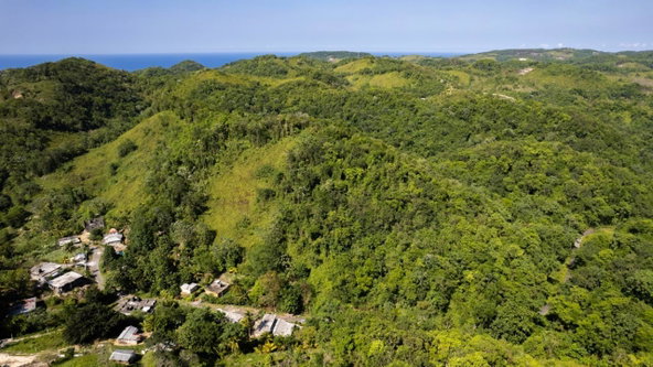 Eighteenth image of 1 Bromley ,nonsuch in Nonsuch, Portland, Jamaica - property is For Sale