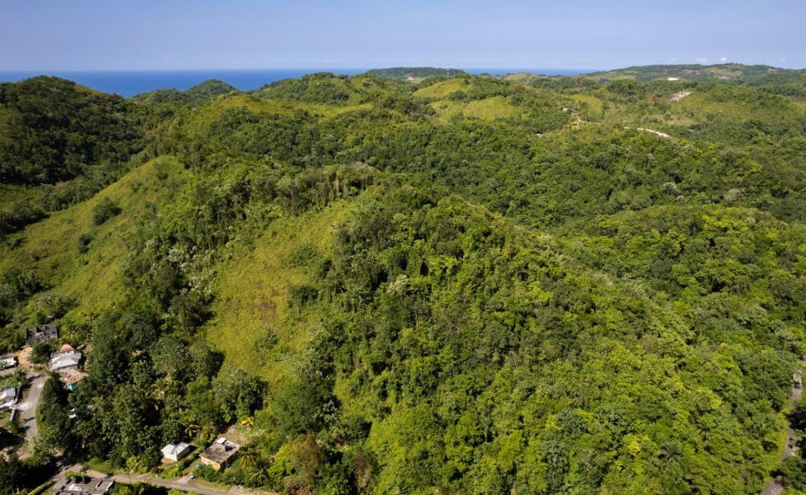 Nineteenth image of 1 Bromley ,nonsuch in Nonsuch, Portland, Jamaica - property is For Sale