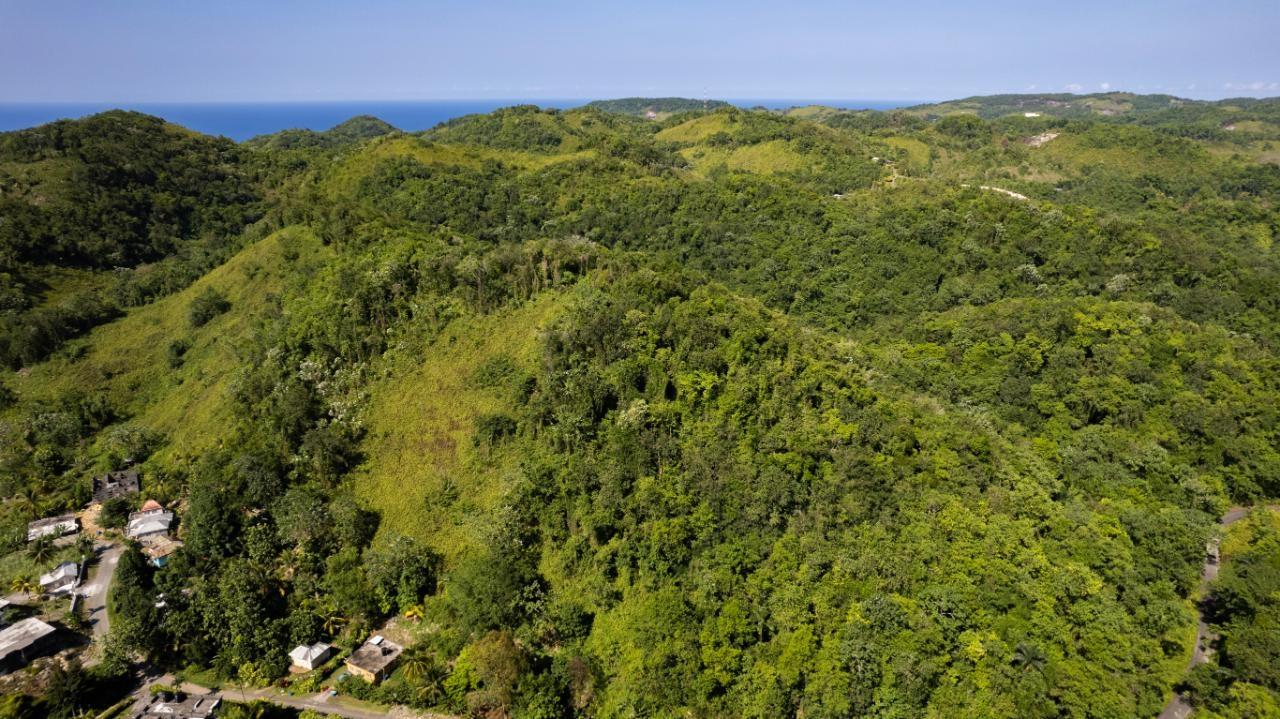 Nineteenth image of 1 Bromley ,nonsuch in Nonsuch, Portland, Jamaica - property is For Sale