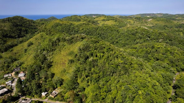 Nineteenth image of 1 Bromley ,nonsuch in Nonsuch, Portland, Jamaica - property is For Sale