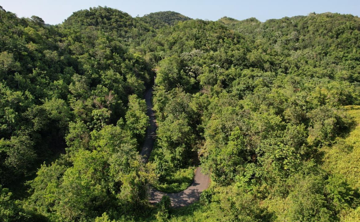 Twentieth image of 1 Bromley ,nonsuch in Nonsuch, Portland, Jamaica - property is For Sale