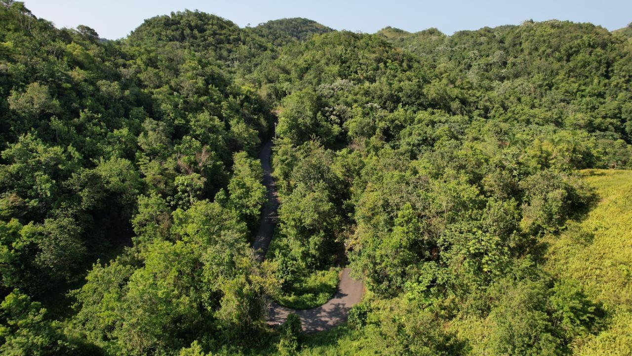 Twentieth image of 1 Bromley ,nonsuch in Nonsuch, Portland, Jamaica - property is For Sale