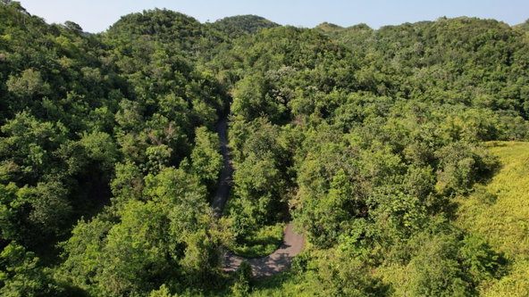 Twentieth image of 1 Bromley ,nonsuch in Nonsuch, Portland, Jamaica - property is For Sale