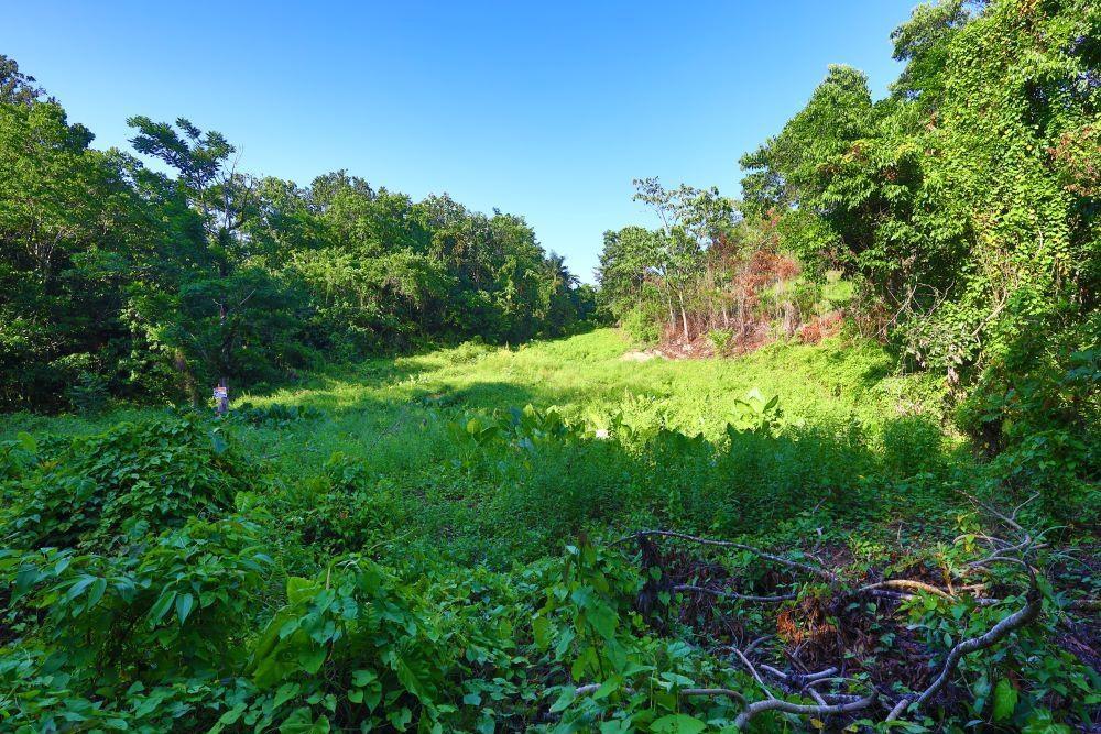 Third image of 1 Bromley ,nonsuch in Nonsuch, Portland, Jamaica - property is For Sale