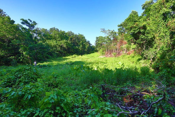 Third image of 1 Bromley ,nonsuch in Nonsuch, Portland, Jamaica - property is For Sale