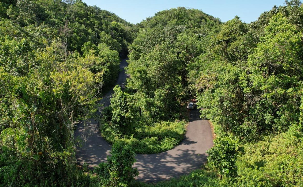 Twenty-First image of 1 Bromley ,nonsuch in Nonsuch, Portland, Jamaica - property is For Sale