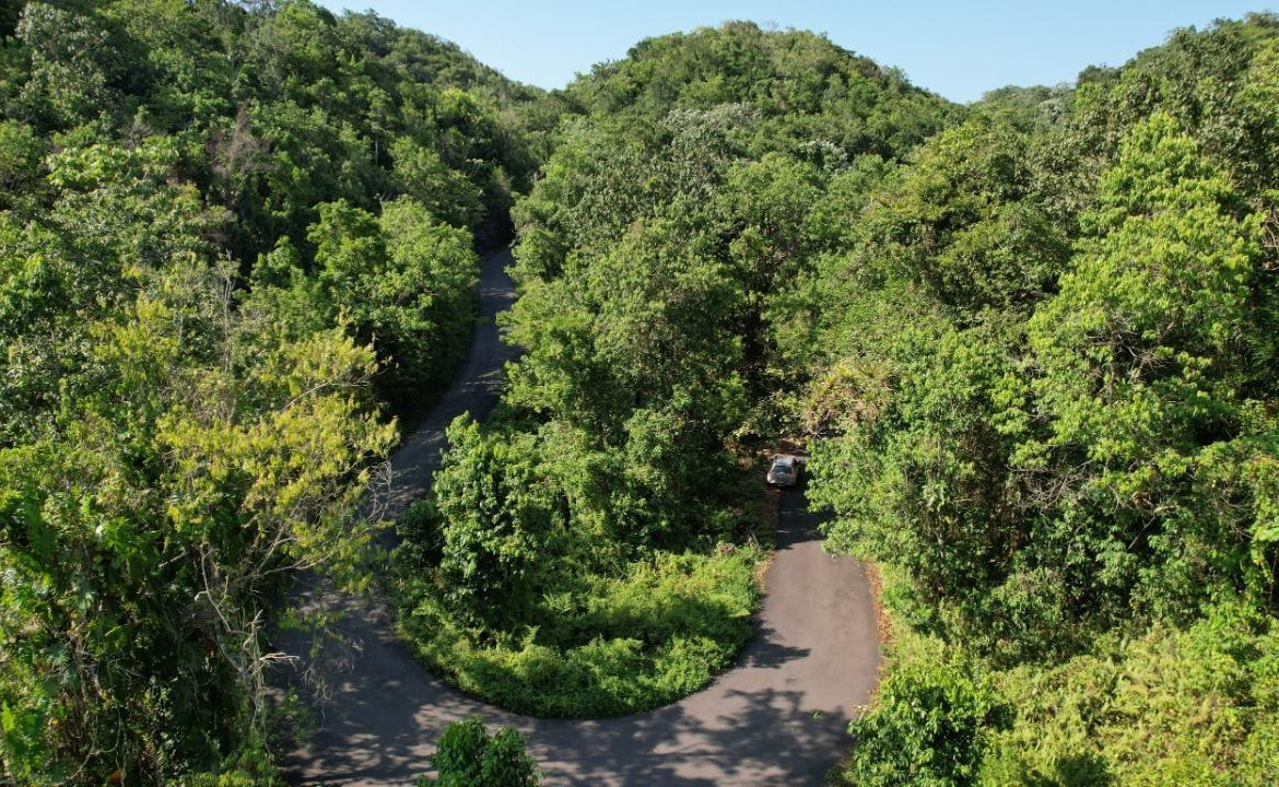 Twenty-Second image of 1 Bromley ,nonsuch in Nonsuch, Portland, Jamaica - property is For Sale