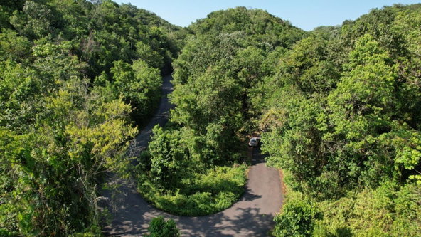 Twenty-Second image of 1 Bromley ,nonsuch in Nonsuch, Portland, Jamaica - property is For Sale