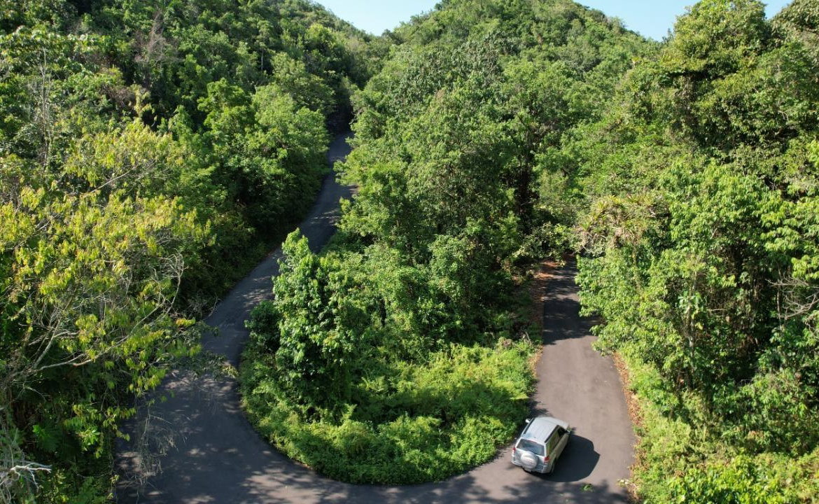 Twenty-Third image of 1 Bromley ,nonsuch in Nonsuch, Portland, Jamaica - property is For Sale
