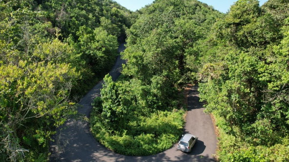 Twenty-Third image of 1 Bromley ,nonsuch in Nonsuch, Portland, Jamaica - property is For Sale