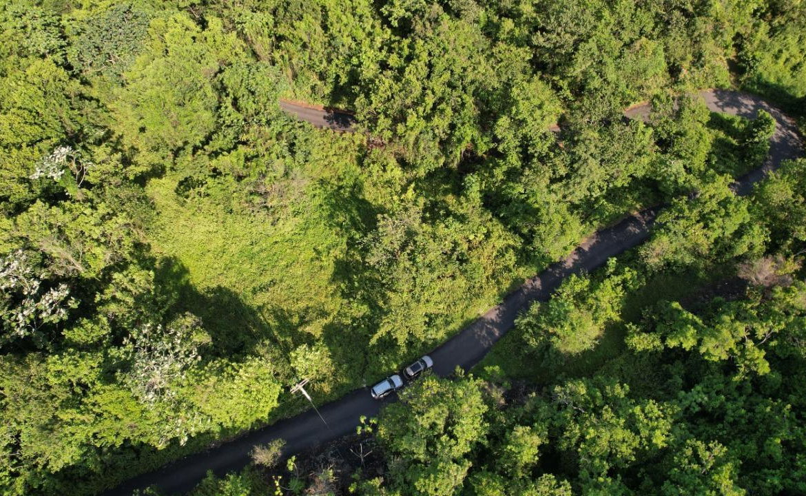 Twenty-Fourth image of 1 Bromley ,nonsuch in Nonsuch, Portland, Jamaica - property is For Sale